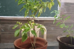 68709648_122277159066472_1231344459220779008_n_122277155733139