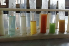 69400417_125189698775218_4264388305673519104_n_125189695441885